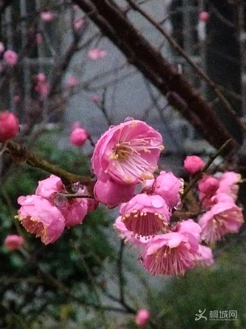 IMG_20220122_171710.jpeg