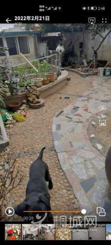Screenshot_20220310_144842_com.huawei.himovie.jpg