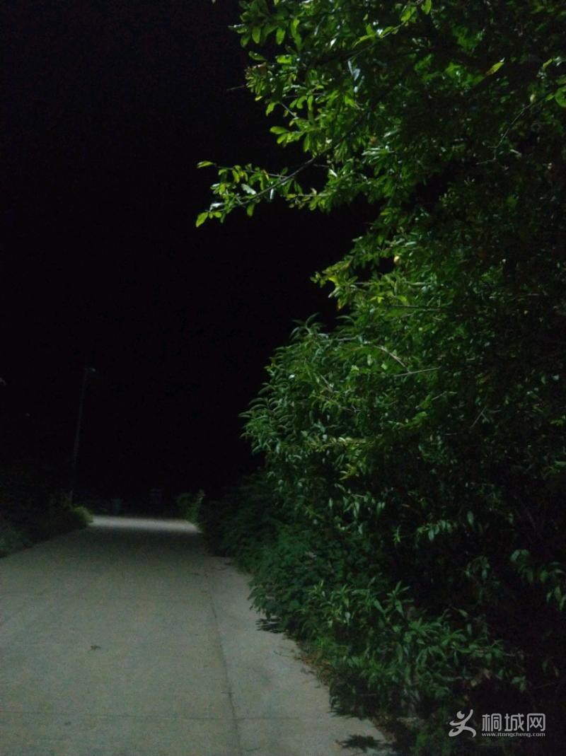 IMG_20220821_203503.jpeg