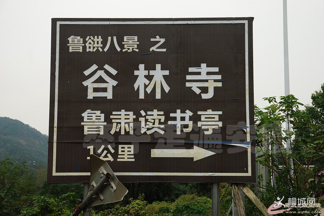 181556sb7phcrbwox7kr75.jpg