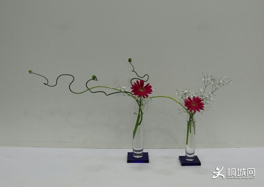 222600ag455ck131ku8kk1.jpg