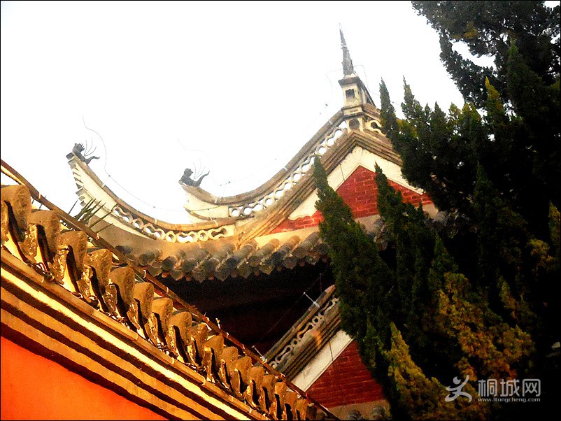 DSCN0291̽.jpg