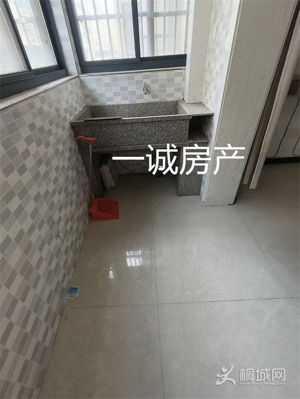 IMG20240717144559.jpg