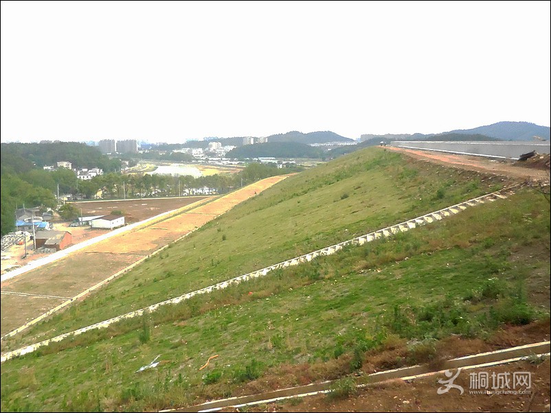 DSCN0612ˮ.jpg