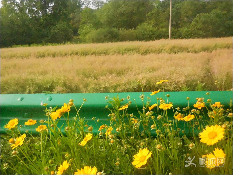 DSCN0698ᾰ߶.jpg