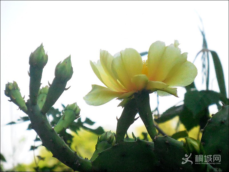 DSCN0789.jpg