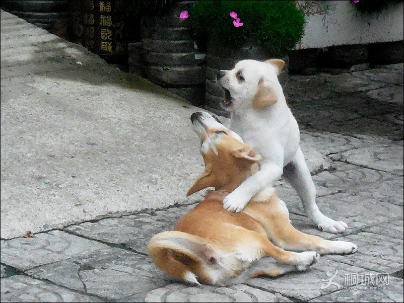 DSCN1542.jpg