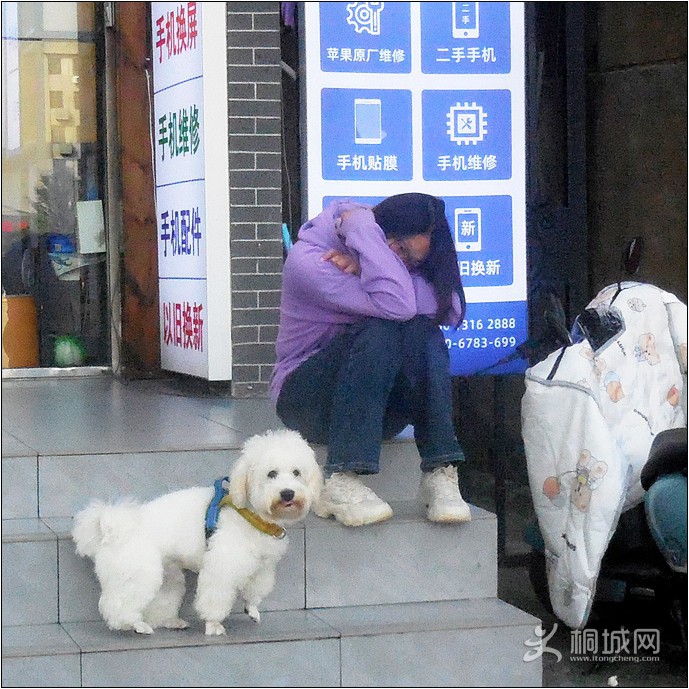 DSCN0101��.jpg