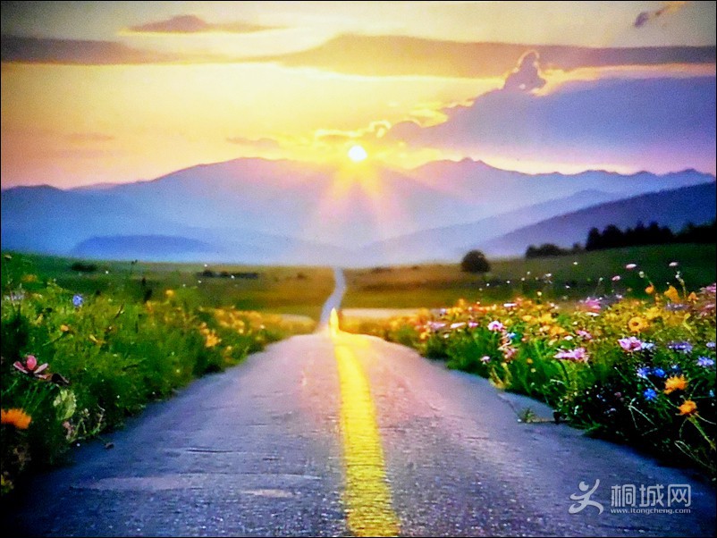 DSCN1375̫��ÿ������.jpg