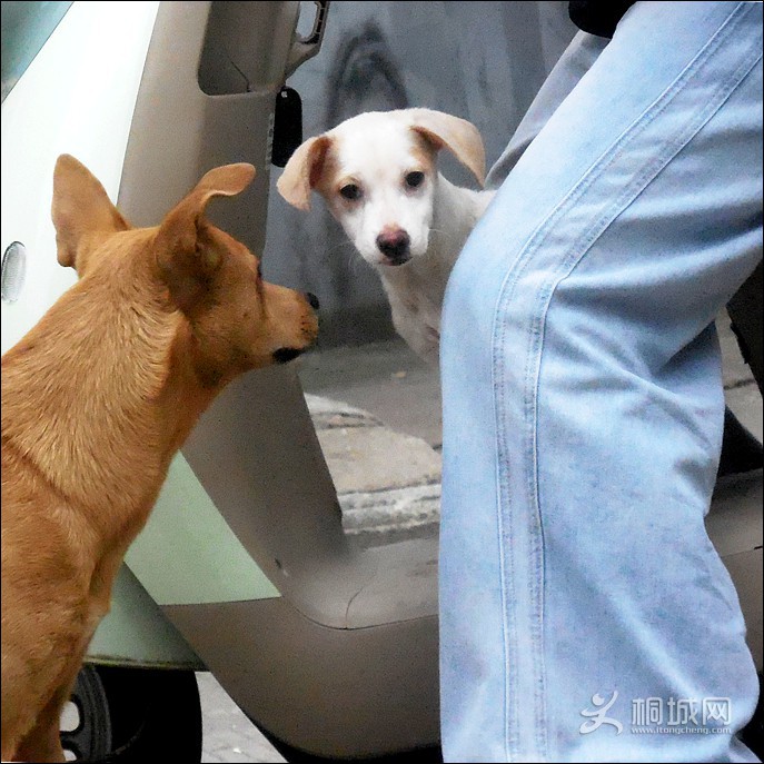 DSCN0007����.jpg