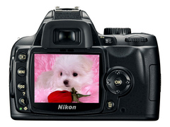 ῵D60  a.jpg