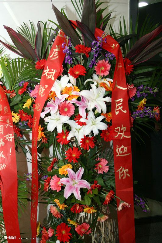 ͬ��nokia�����˺����