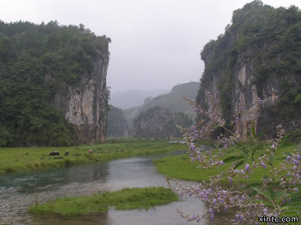 sandaoyan7.jpg