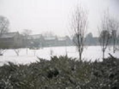 zhuguangqian.jpg