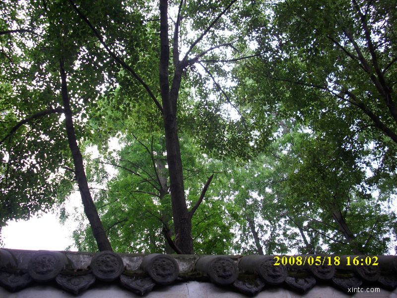 IMG_1157a.jpg