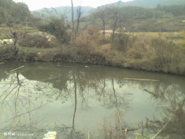 21-11-08_1546.jpg