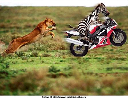 1��  Ҫ��Ŀ���׷��.jpg