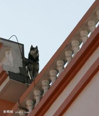 �·����˷������� ��¥¶̨�����ǡ��Ż���.JPG