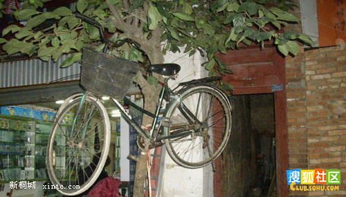 ���ӷ��� ����������.JPG