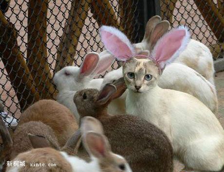 ����16 �Ե�1.jpg