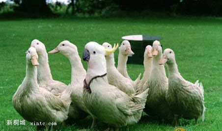 ����16 �Ե�2.jpg