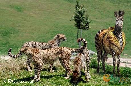 ����16 �Ե�4.jpg