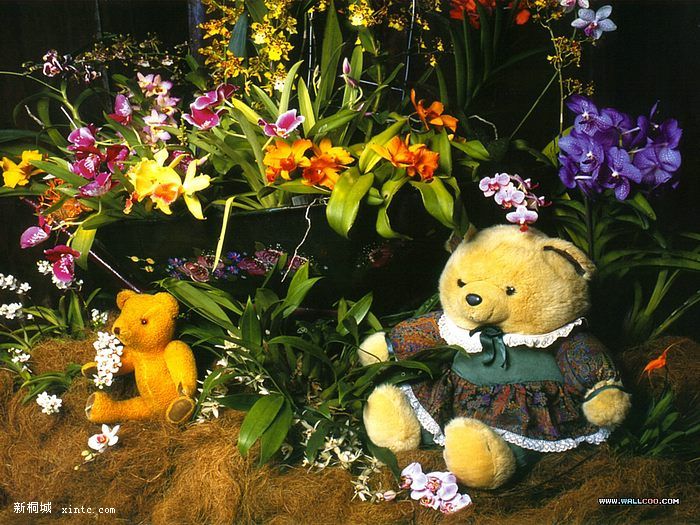 09-Teddies_September.jpg