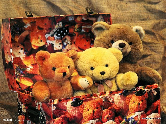 03-Teddies_March.jpg