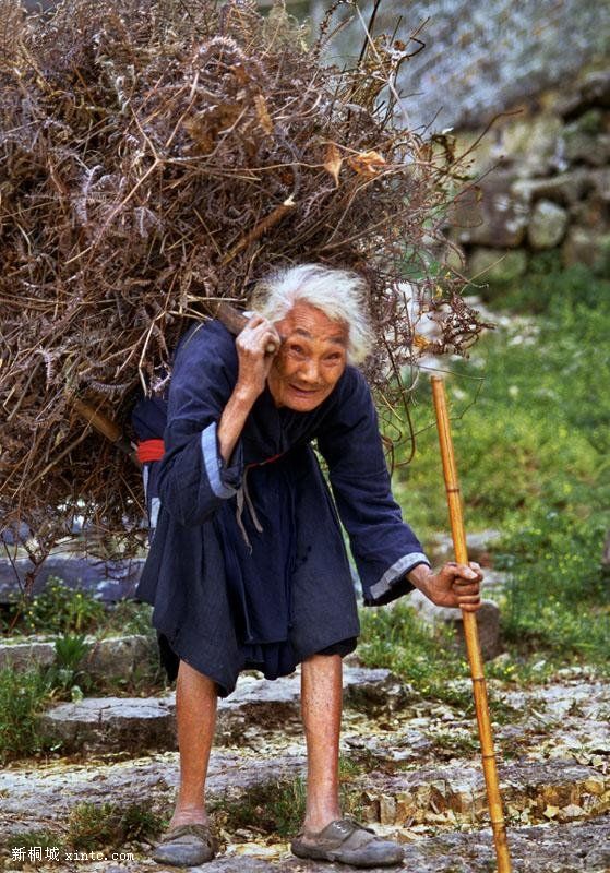 ���ǿ����İ׷����裬��ļ���ܱ����