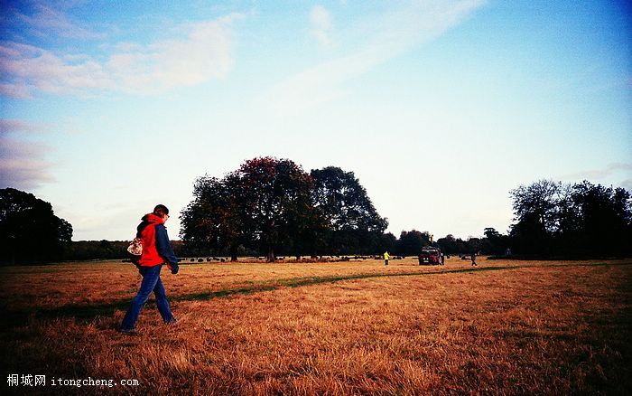 [wallcoo_com]_LOMO_lomography_Castletown Estate.jpg