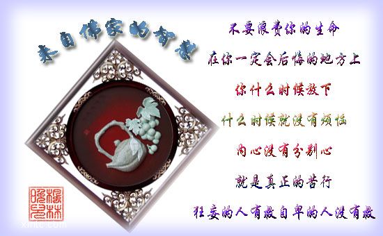 xa.photo.store.qq4.jpg