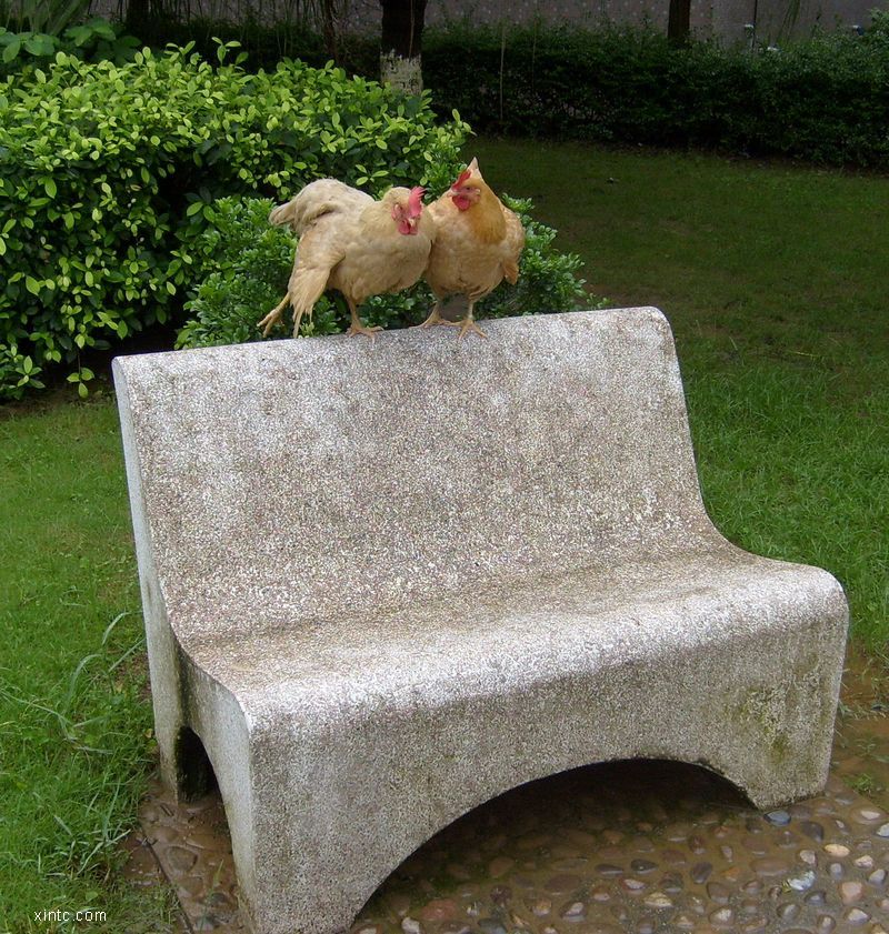 Լᡷ.jpg