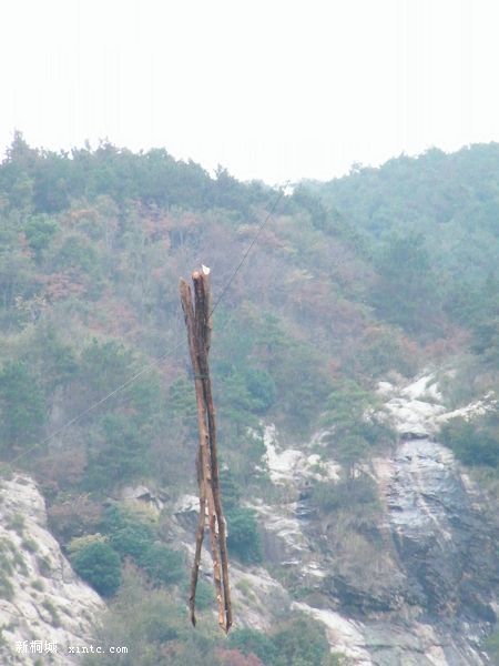 DSCF7331.jpg
