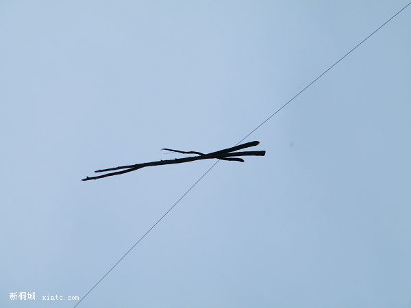 DSCF7323.jpg