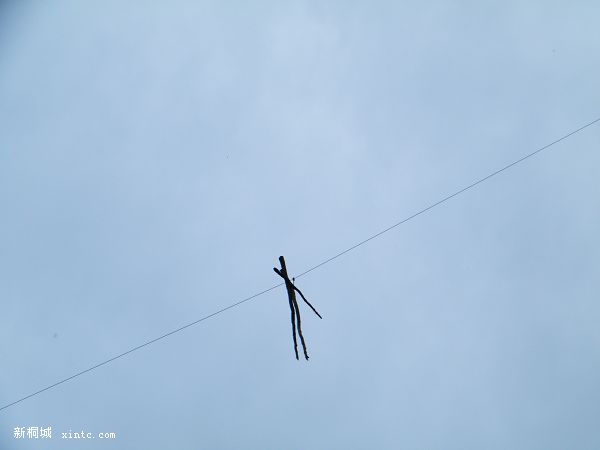 DSCF7324.jpg