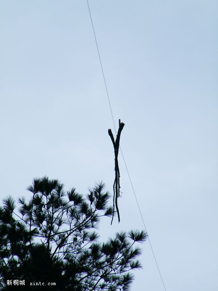 DSCF7326.jpg