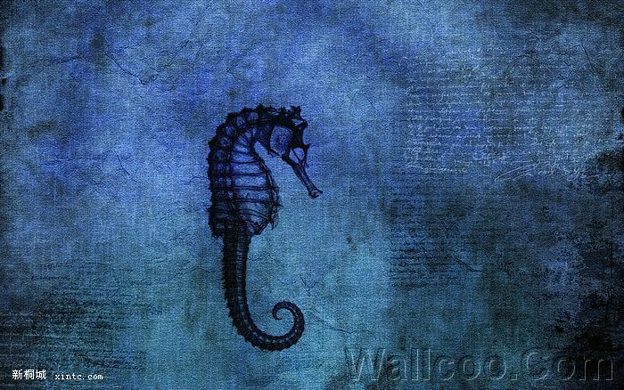 003_vladstudio_blueseadragon.jpg