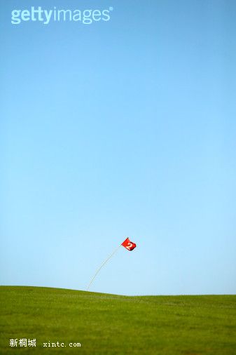 81791578.jpg