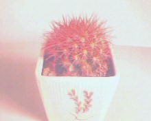 IMG0037A.jpg