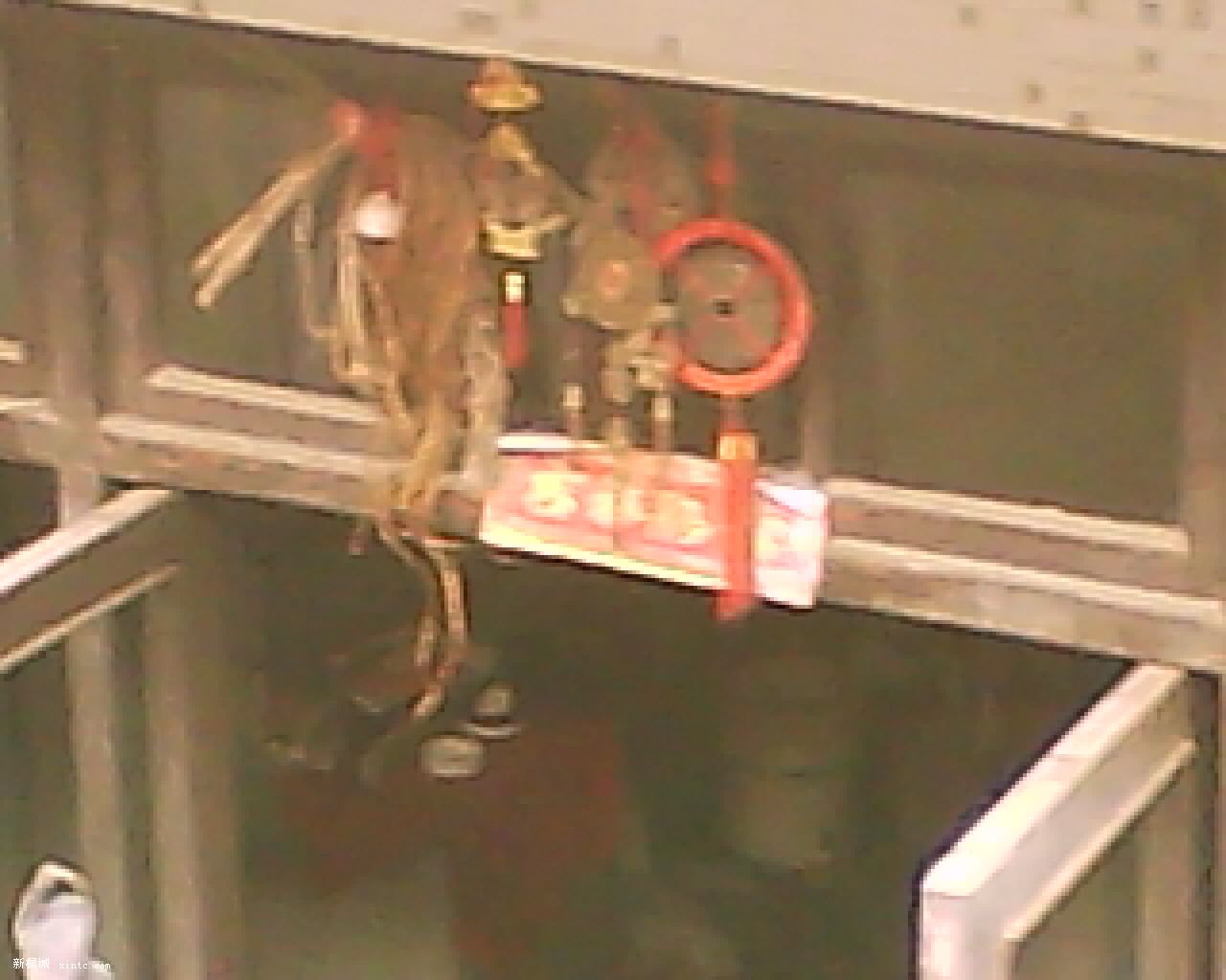 11-06-09_143431.jpg