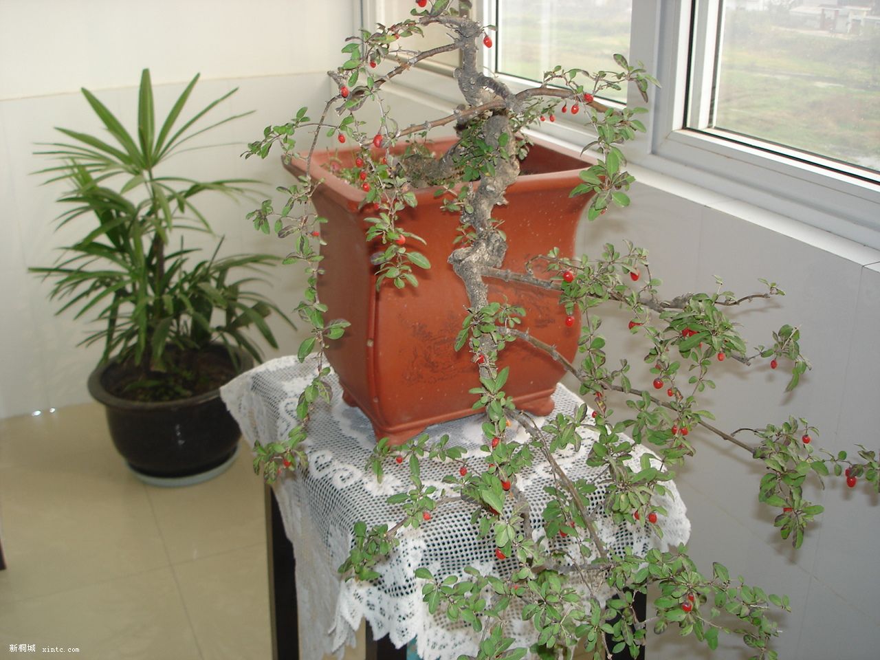 DSC00890.JPG