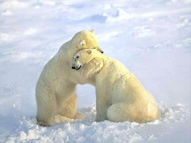 9м֪