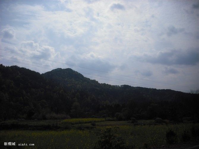 �Ƿݿտ��ĸо�