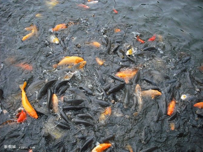 ���㣬�Ǻ�