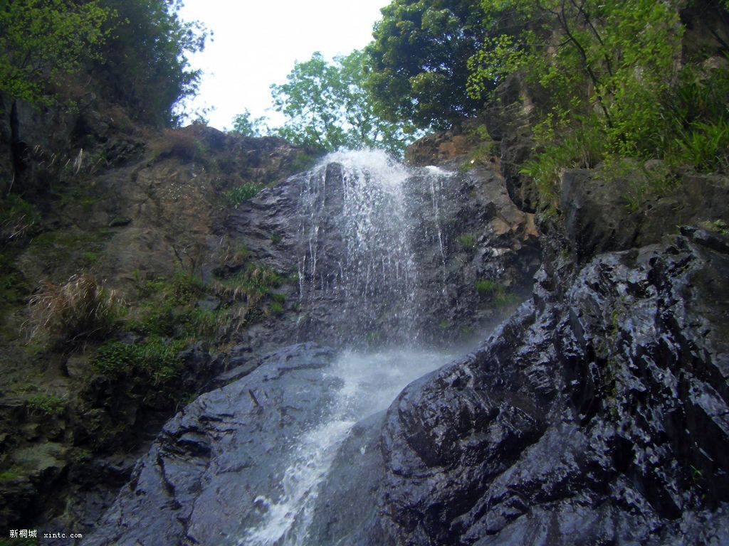 20090401��Ƭ 077.jpg