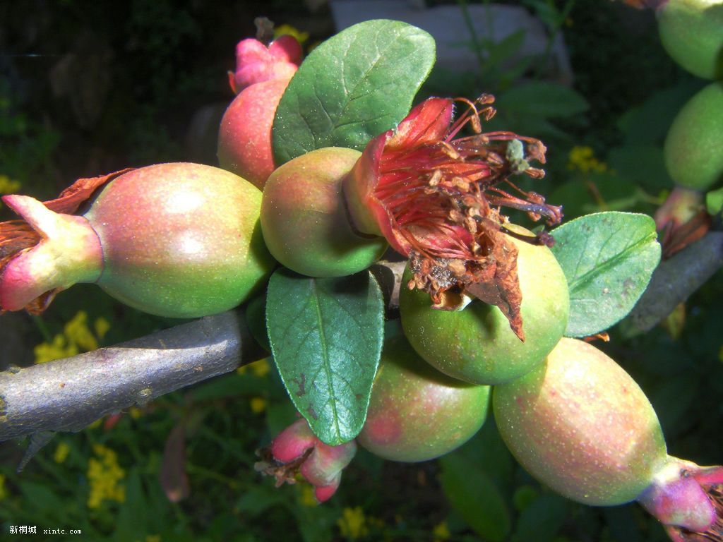 200904015��Ƭ 007.jpg