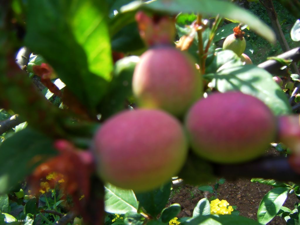 200904015��Ƭ 006.jpg