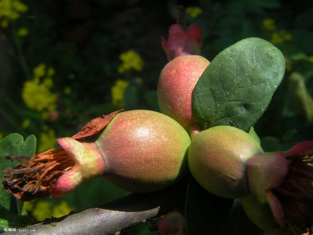 200904015��Ƭ 008.jpg