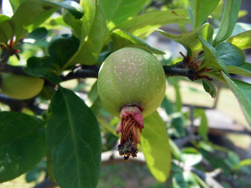 200904015��Ƭ 005.jpg