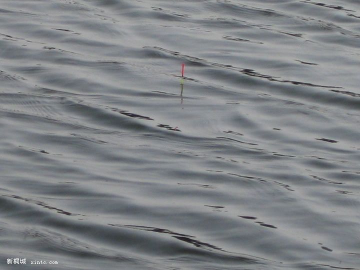 �²�����ɶ